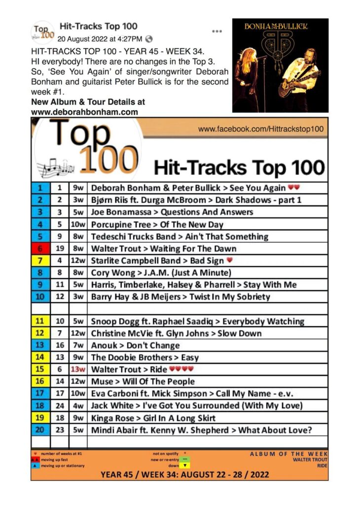 “See You Again” by Bonham-Bullick – #1 Track on Hit-Tracks Top 100 – Netherlands